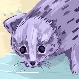 Meet your Posher, Lunabelle